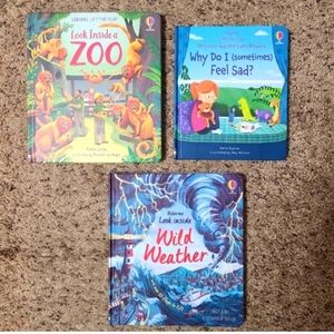 All Brand New Books! Lift-The-Flaps Bundle